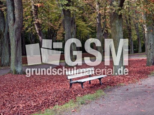 B-Herbststimmung 053.jpg